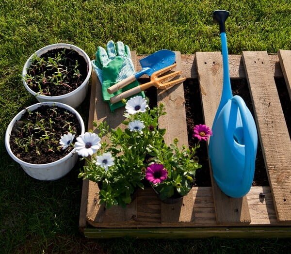 canteiros e jardins com paletes