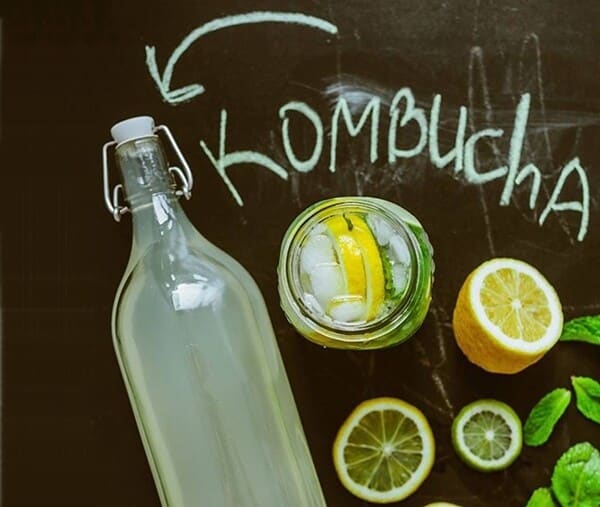 Kombucha conhecida como a bebida da saúde
